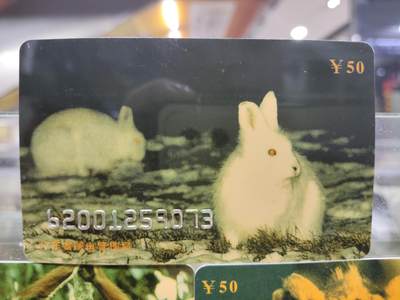 搬档清货，卡类收藏A 广东省邮电管理局200卡，96 P6，野生动物，3枚一套全