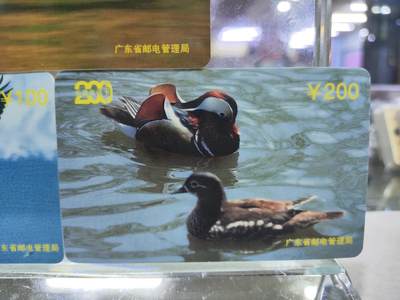 搬档清货，卡类收藏A 广东省邮电管理局200卡，97 P4，动物，3枚一套全