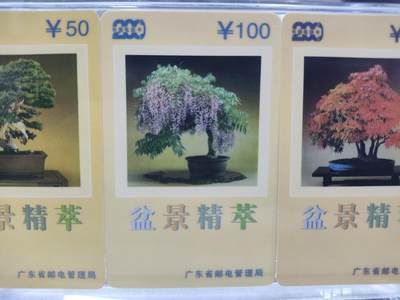 搬档清货，卡类收藏A 广东省邮电管理局200卡，97 P10，盆景精萃，3枚一套全