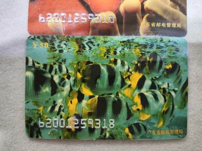 搬档清货，卡类收藏A 广东省邮电管理局200卡，96 P8，观赏鱼，3枚一套全