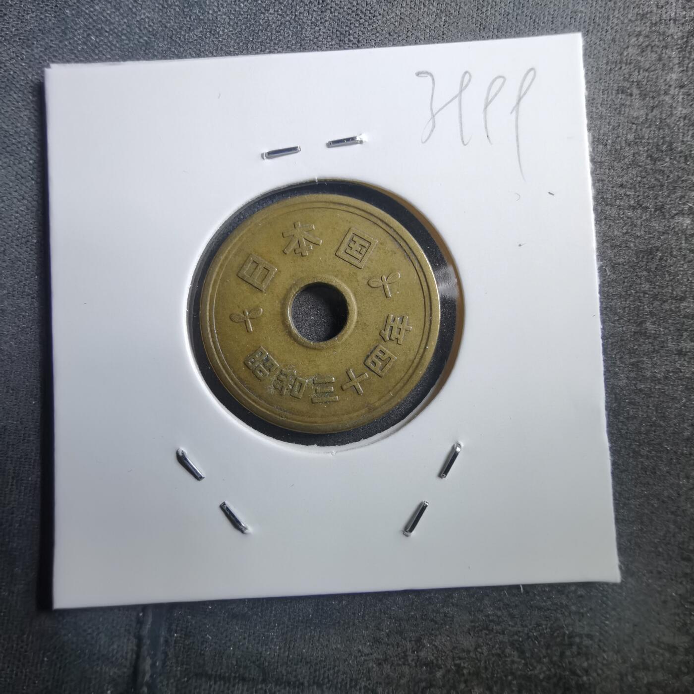 沼泽如烟--第739场