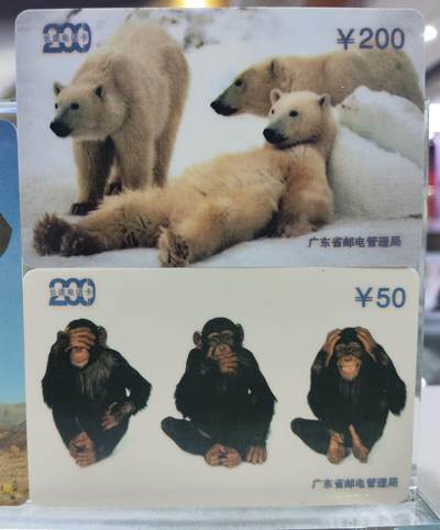 搬档清货，卡类收藏A 广东省邮电管理局200卡，97 P3，野生动物，3枚一套全