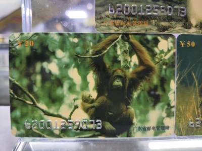搬档清货，卡类收藏A 广东省邮电管理局200卡，96 P6，野生动物，3枚一套全