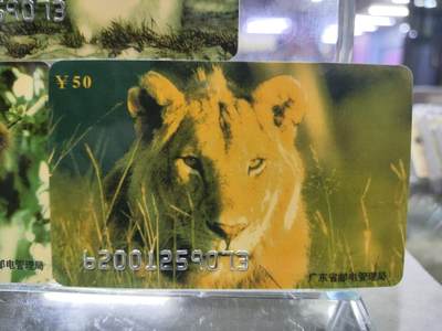 搬档清货，卡类收藏A 广东省邮电管理局200卡，96 P6，野生动物，3枚一套全