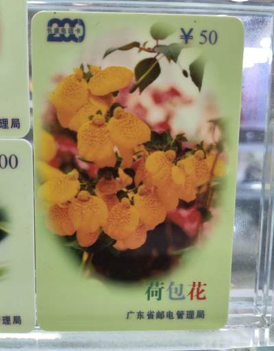 搬档清货，卡类收藏A 广东省邮电管理局200卡，96 P12 花卉，3枚一套全