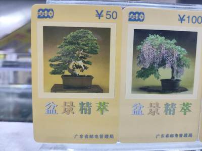 搬档清货，卡类收藏A 广东省邮电管理局200卡，97 P10，盆景精萃，3枚一套全