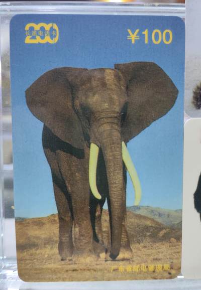 搬档清货，卡类收藏A 广东省邮电管理局200卡，97 P3，野生动物，3枚一套全