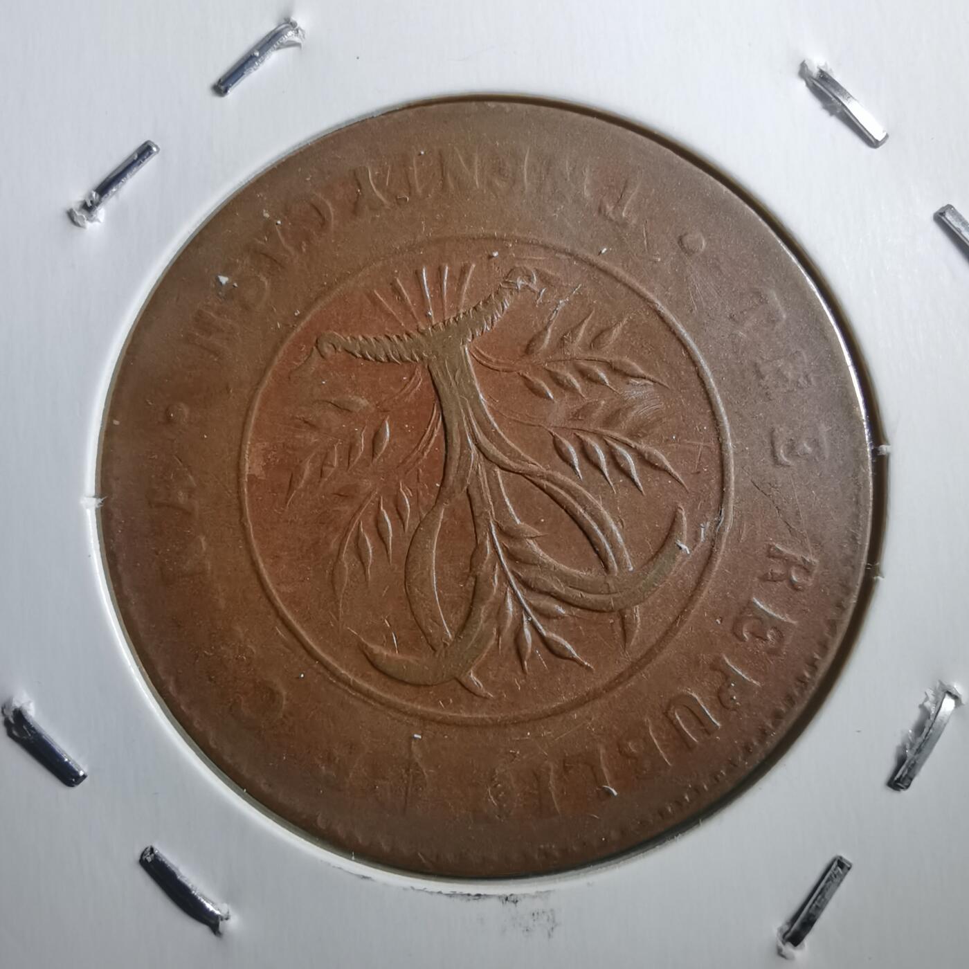 沼泽如烟--第739场