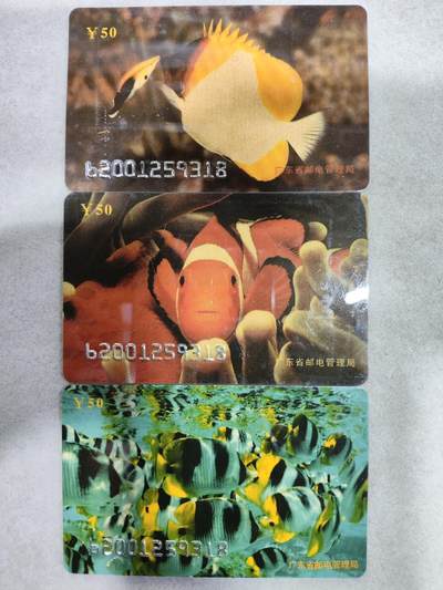 搬档清货，卡类收藏A - 广东省邮电管理局200卡，96 P8，观赏鱼，3枚一套全