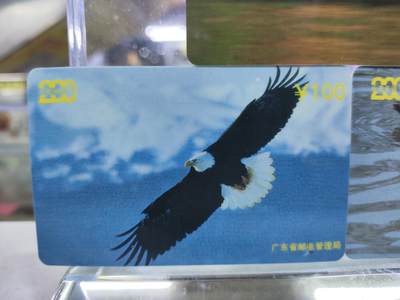 搬档清货，卡类收藏A 广东省邮电管理局200卡，97 P4，动物，3枚一套全