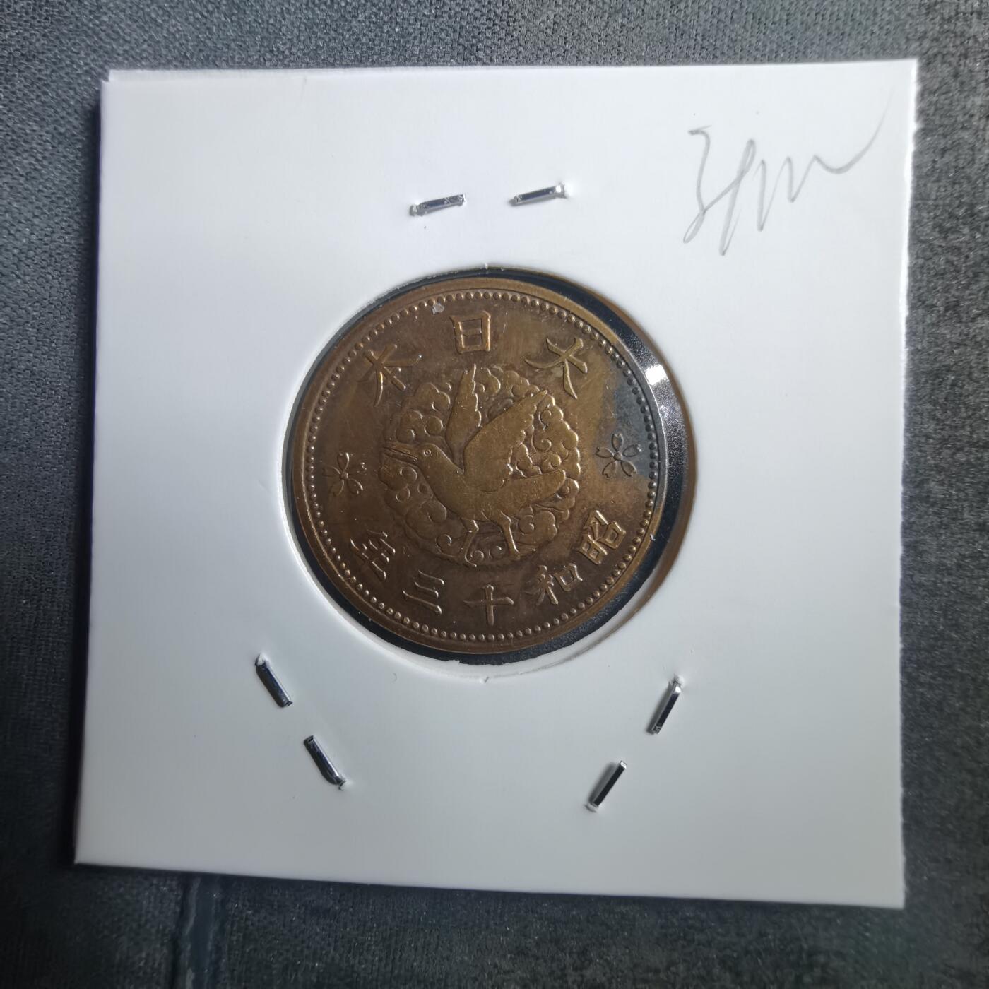 沼泽如烟--第739场