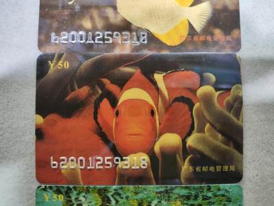 搬档清货，卡类收藏A 广东省邮电管理局200卡，96 P8，观赏鱼，3枚一套全