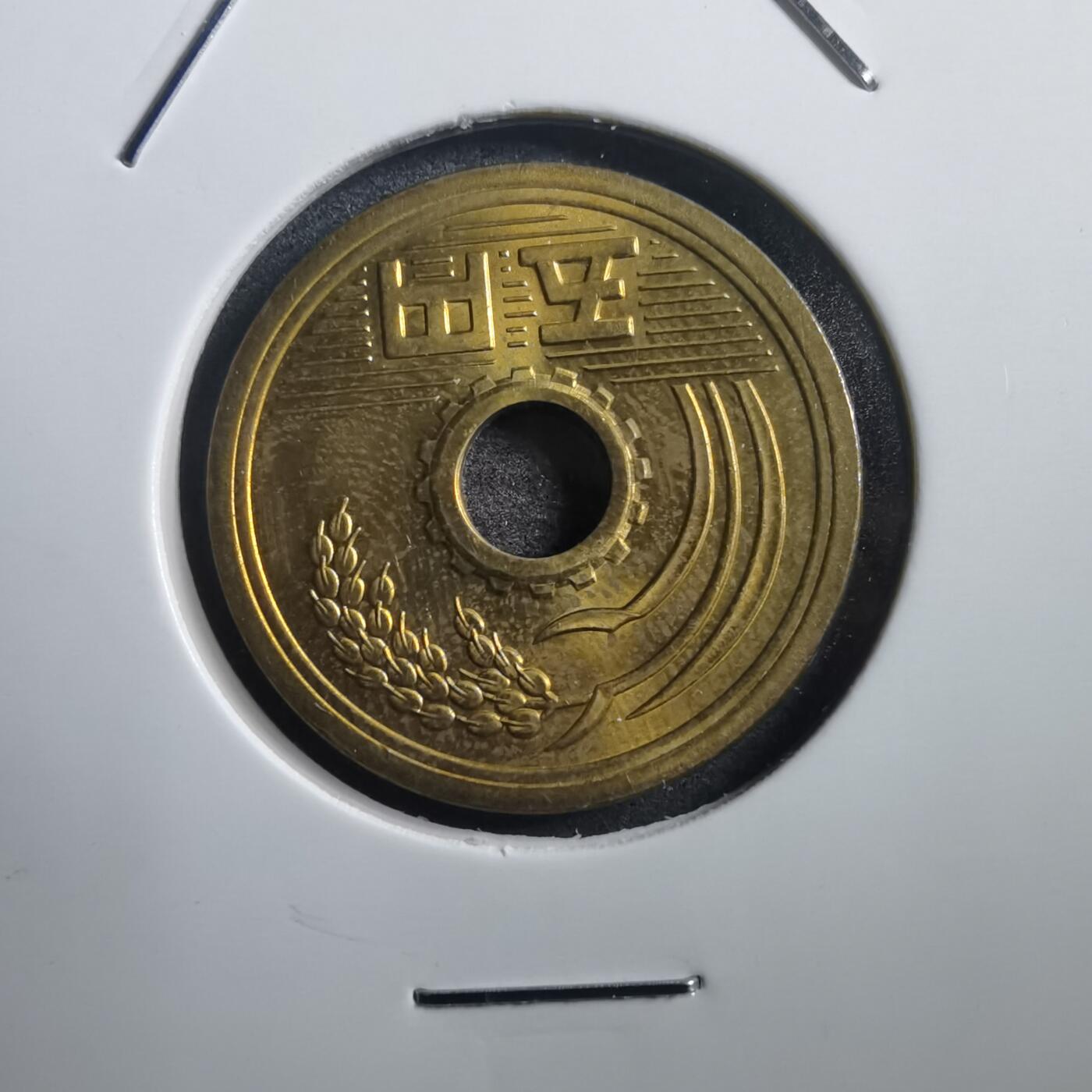 沼泽如烟--第739场