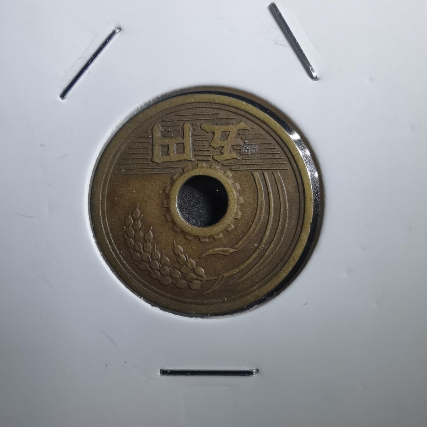 沼泽如烟--第739场