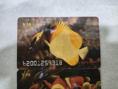 搬档清货，卡类收藏A 广东省邮电管理局200卡，96 P8，观赏鱼，3枚一套全