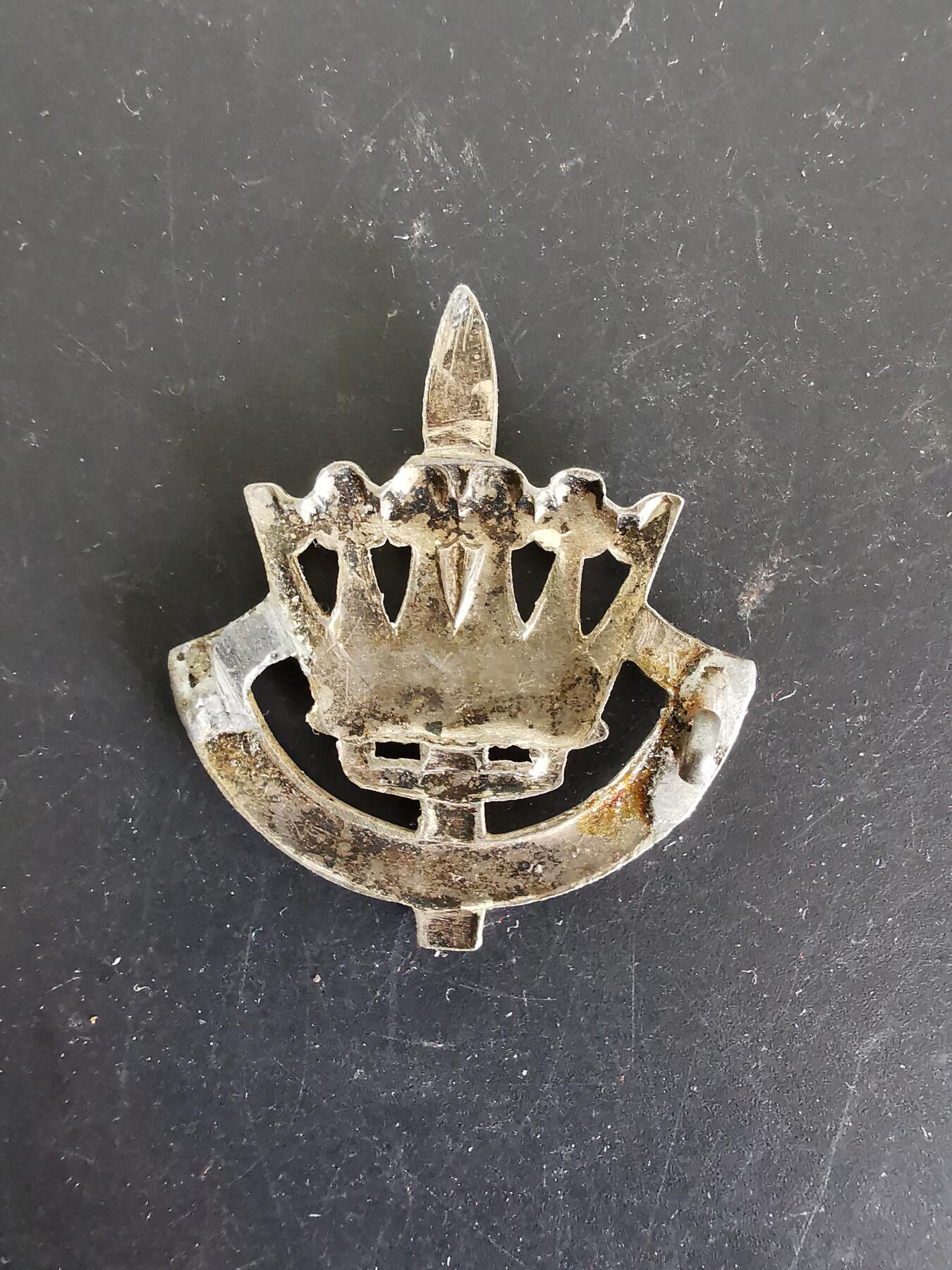 老王徽章第126期