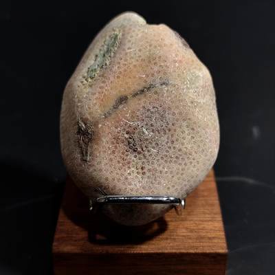 【首场科普放漏价】古生物化石/奇石/玉石原石专场！陆小鱼的钱币仓，限时拍卖第001场 - 🍓草莓纹珊瑚化石 红色草莓纹路清晰 精致小巧的手把件 4.5亿年前奥陶纪时期海洋古生物化石标本98g