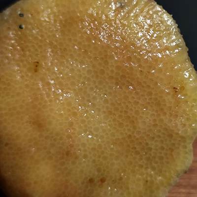 【首场科普放漏价】古生物化石/奇石/玉石原石专场！陆小鱼的钱币仓，限时拍卖第001场 - 冰糖芯🍭 珊瑚化石 形制精巧可爱 玉化好 非常不错的有色珊瑚化石标本 4.5亿年前奥陶纪时期海洋古生物化石标本51g
