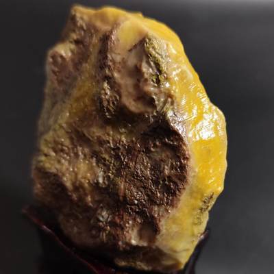 【首场科普放漏价】古生物化石/奇石/玉石原石专场！陆小鱼的钱币仓，限时拍卖第001场 - 鸡油黄料 珊瑚化石 颜色非常正 适合做雕刻料 4.5亿年前奥陶纪时期海洋古生物化石标本427 g