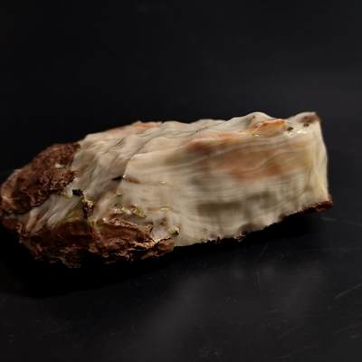 【首场科普放漏价】古生物化石/奇石/玉石原石专场！陆小鱼的钱币仓，限时拍卖第001场 - 少见卷纹珊瑚化石 玉化程度非常好  中间有石筋不是裂纹（火山爆发形成挤压又被火山灰掩埋形成的纹路）4.5亿年前奥陶纪时期海洋古生物化石标本282g
