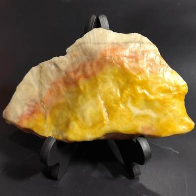 【首场科普放漏价】古生物化石/奇石/玉石原石专场！陆小鱼的钱币仓，限时拍卖第001场 - 精品五彩图腾 手指纹珊瑚化石 玉化颜色非常靓丽 生物纹路犹如指纹 难得完整精品料 4.5亿年前奥陶纪时期海洋古生物化石标本428 g