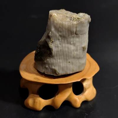 【首场科普放漏价】古生物化石/奇石/玉石原石专场！陆小鱼的钱币仓，限时拍卖第001场 - 竖直纹羊角单体珊瑚化石 比较粗壮 玉化程度好 4.5亿年前奥陶纪时期海洋古生物化石标本63g