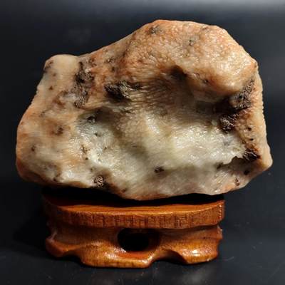 【首场科普放漏价】古生物化石/奇石/玉石原石专场！陆小鱼的钱币仓，限时拍卖第001场 - 荔枝纹珊瑚化石 玉化程度非常好 完整细腻 生物纹路明显 4.5亿年前奥陶纪时期海洋古生物化石标本602g