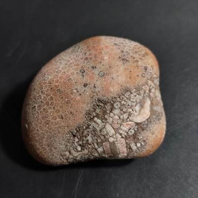 【首场科普放漏价】古生物化石/奇石/玉石原石专场！陆小鱼的钱币仓，限时拍卖第001场 - 🍄“彩色蘑菇”雪花纹和各种海洋生物共生的珊瑚化石 天然纹路犹如一朵朵小雪花 非常精致漂亮 4.5亿年前奥陶纪时期海洋古生物化石标本80g