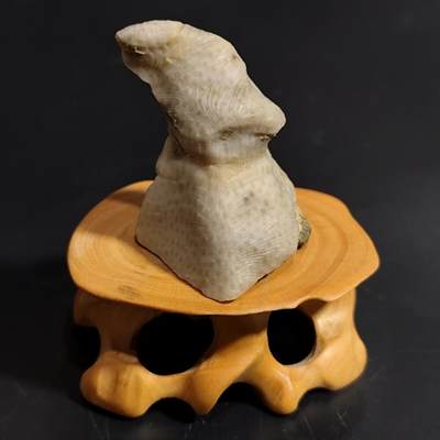 【首场科普放漏价】古生物化石/奇石/玉石原石专场！陆小鱼的钱币仓，限时拍卖第001场 - 草莓纹单体珊瑚化石 造型独特 玉化好 4.5亿年前奥陶纪时期海洋古生物化石标本33.79g