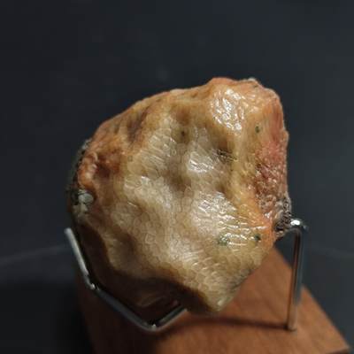 【首场科普放漏价】古生物化石/奇石/玉石原石专场！陆小鱼的钱币仓，限时拍卖第001场 - 彩色菊花纹珊瑚化石 精致小巧的手把件 玉化非常好 4.5亿年前奥陶纪时期海洋古生物化石标本124g