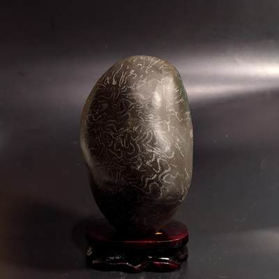 【首场科普放漏价】古生物化石/奇石/玉石原石专场！陆小鱼的钱币仓，限时拍卖第001场 - 黑底链珊瑚化石摆件 珊瑚化石原石经过抛光打磨 生物链条纹路非常明显 非常独特的化石摆件 4.5亿年前奥陶纪时期海洋古生物化石标本1741g（送底座）
