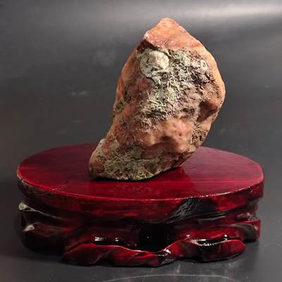 【首场科普放漏价】古生物化石/奇石/玉石原石专场！陆小鱼的钱币仓，限时拍卖第001场 - 血红色蜂巢珊瑚化石 围岩里加着海百合生物化石 4.5亿年前奥陶纪时期海洋古生物化石标本518g