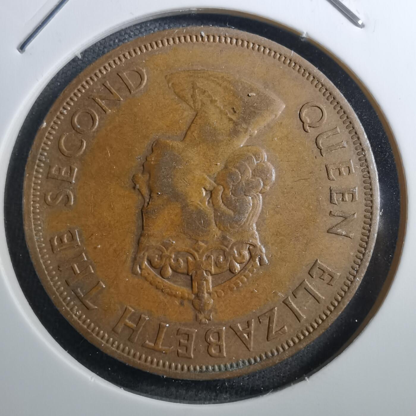 沼泽如烟--第742场