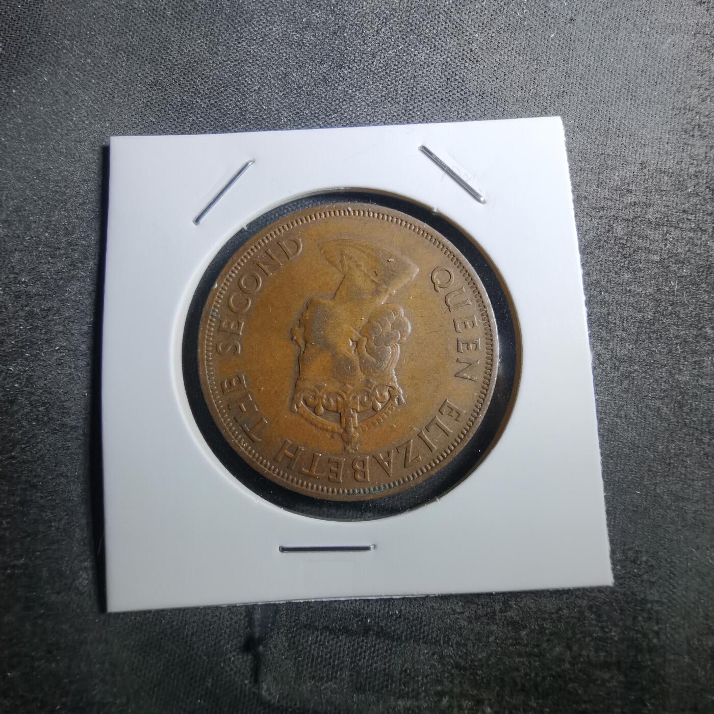 沼泽如烟--第742场