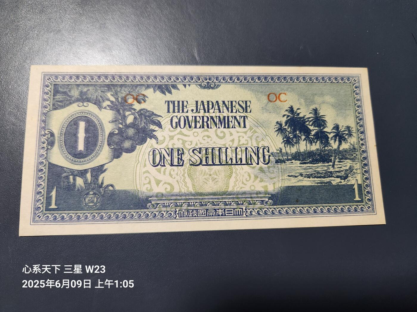 20250611外国纸币专场