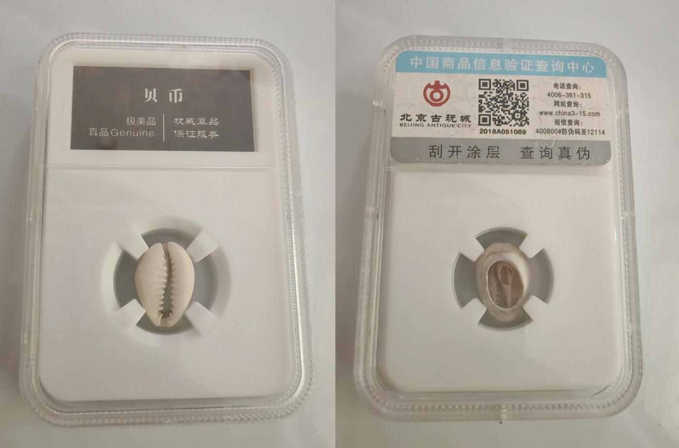 杂件0元起拍处理 贝币