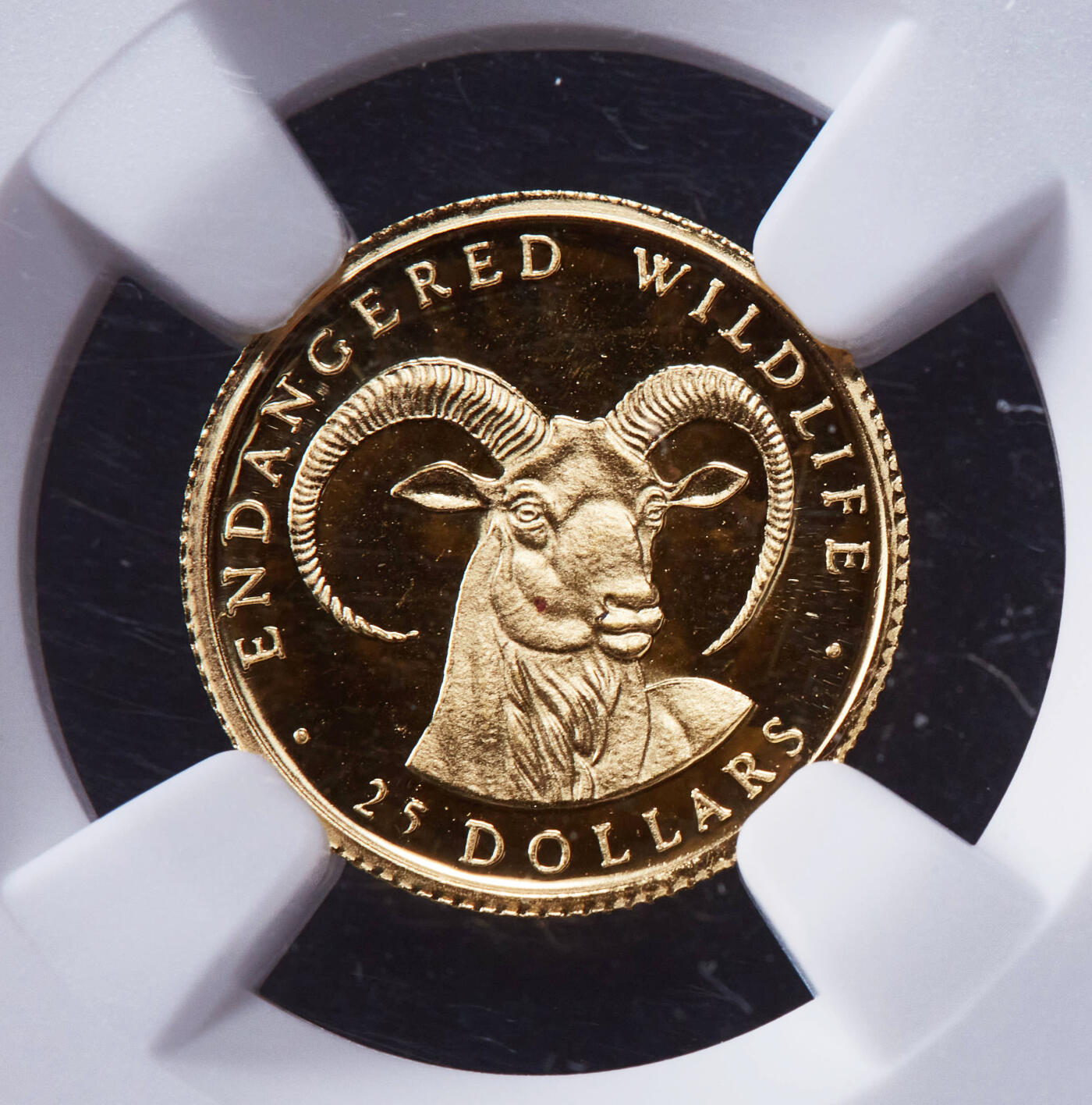 【俄甄集藏】2025年(040) 06-25星期三晚 19:00 全场包邮