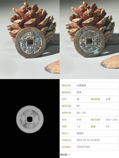 杂件0元起拍处理 - 光绪通宝，宝津