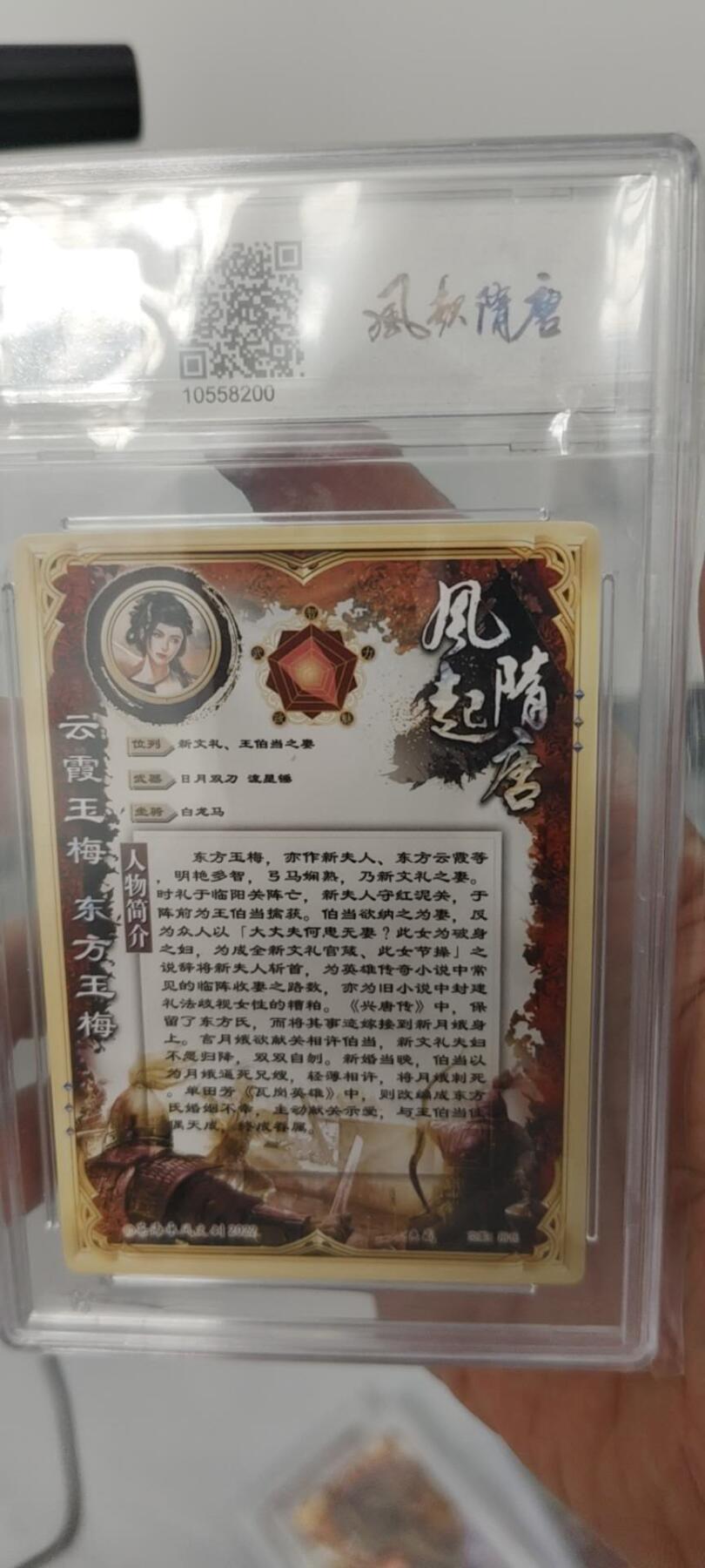 秋原瞳的小店第15期（收各类拍品，私聊拍卖主） 苍海承风隋唐东方玉梅