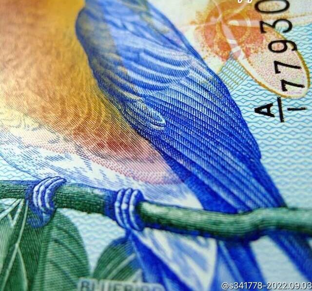 北极狼藏苑社（85） 1374①√-百慕大2元蓝鸟钞纸币获奖币2009年A1冠‘PMG65EPQ