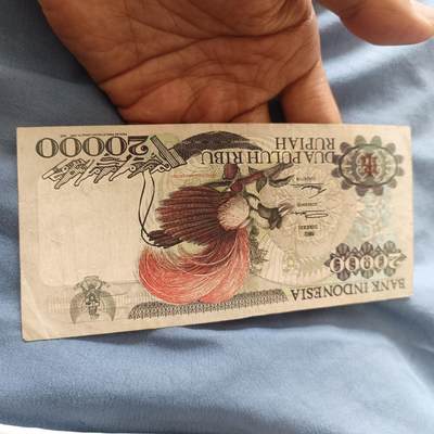 泡泡币外币第四十九场可代拍15038385335微信 - 印尼红鸟