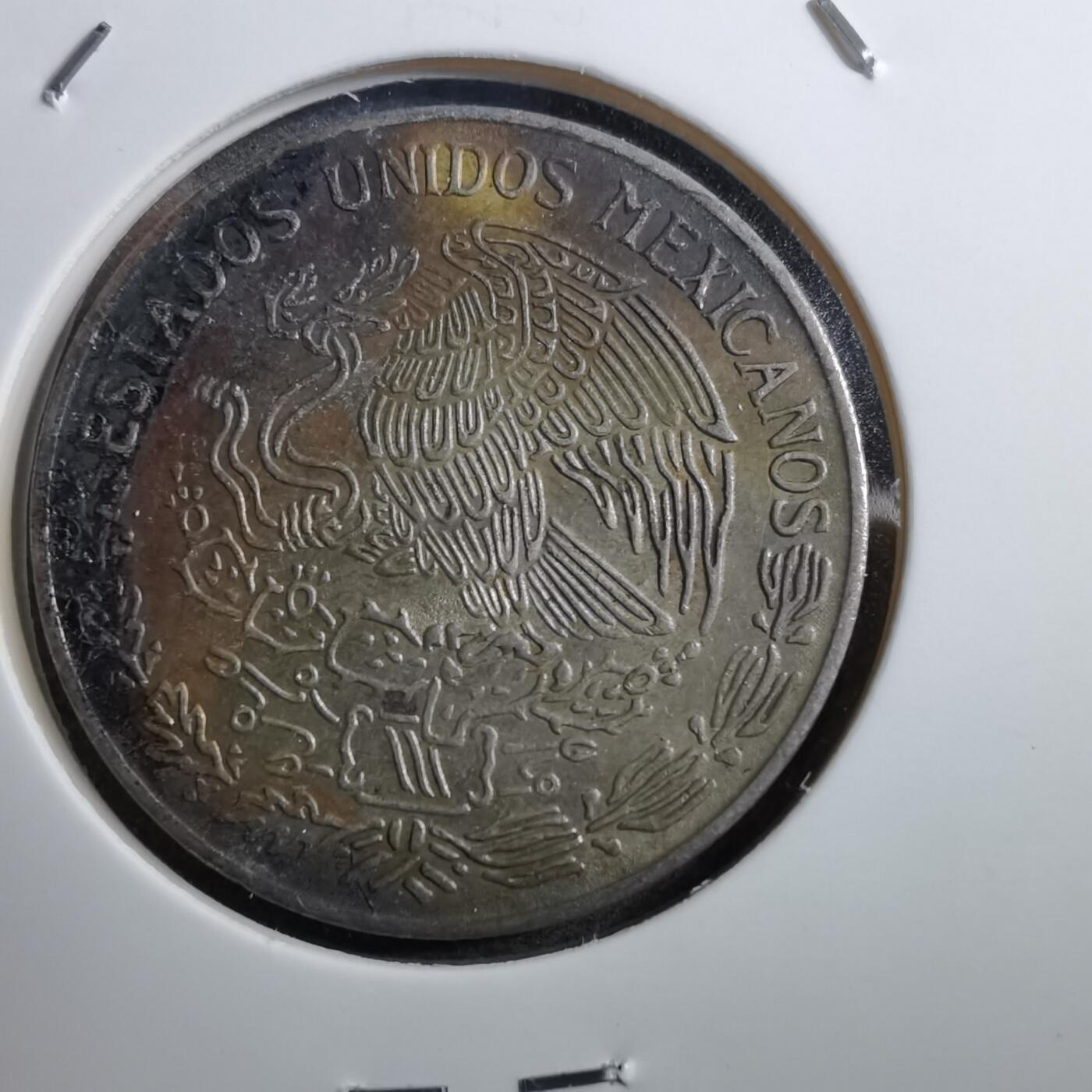 沼泽如烟--第745场