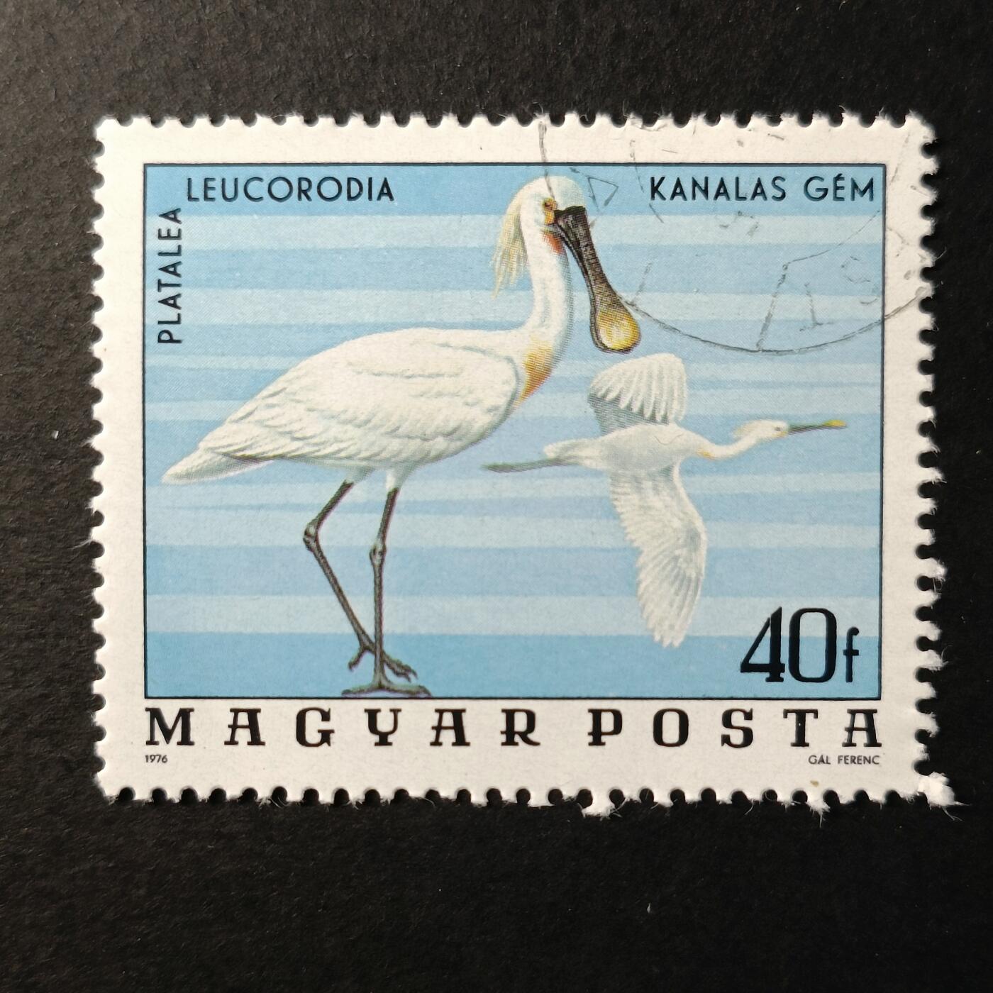 嘉禾收藏    【第225期】            无佣金、可寄存、满30元包邮