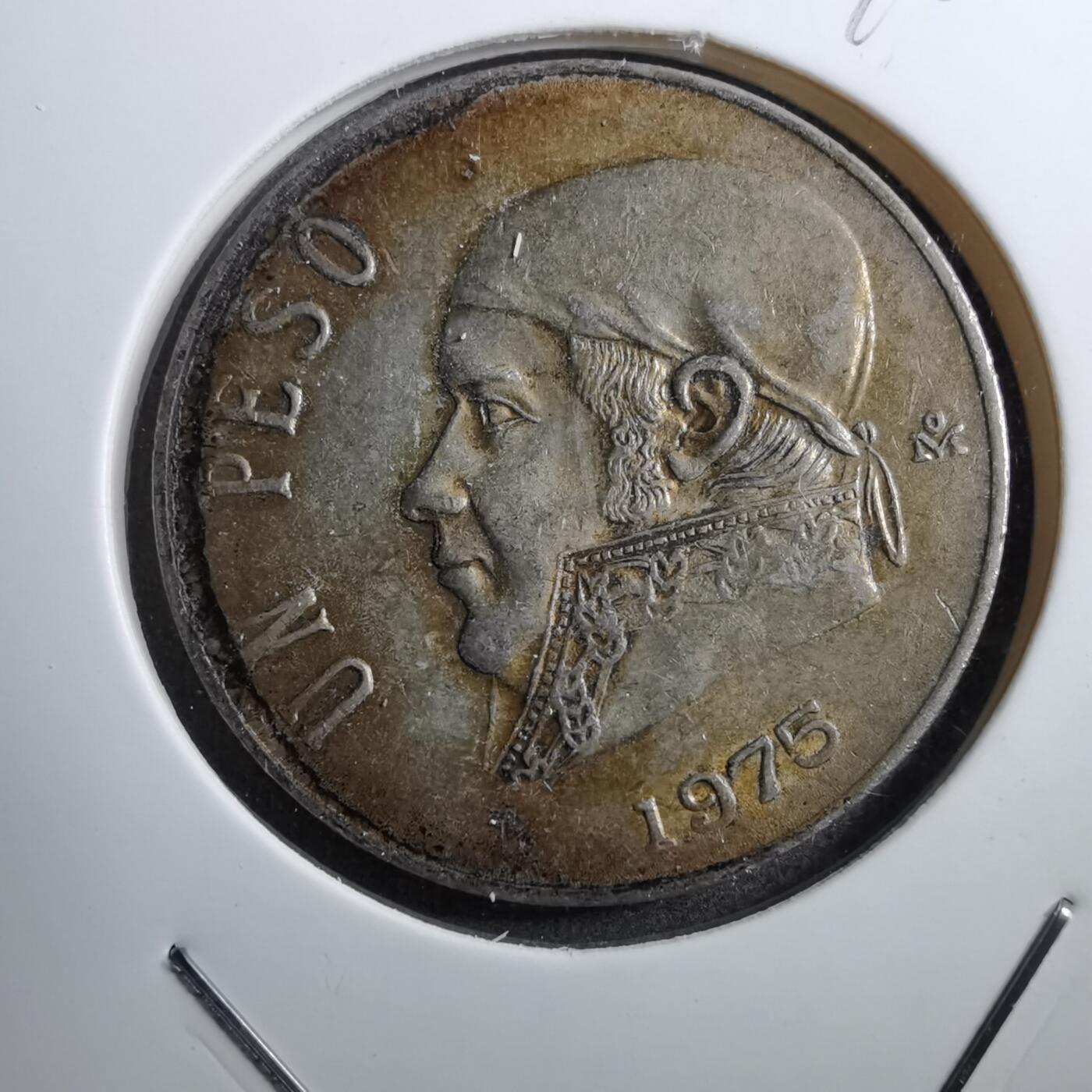 沼泽如烟--第745场