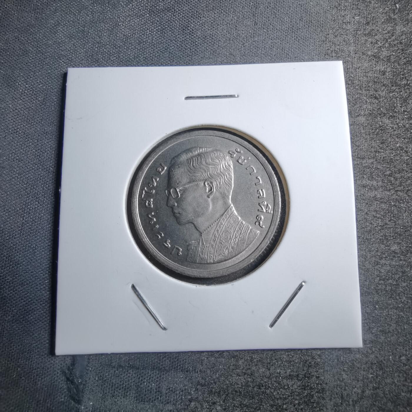 沼泽如烟--第746场