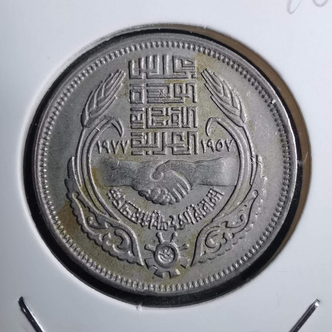 沼泽如烟--第746场