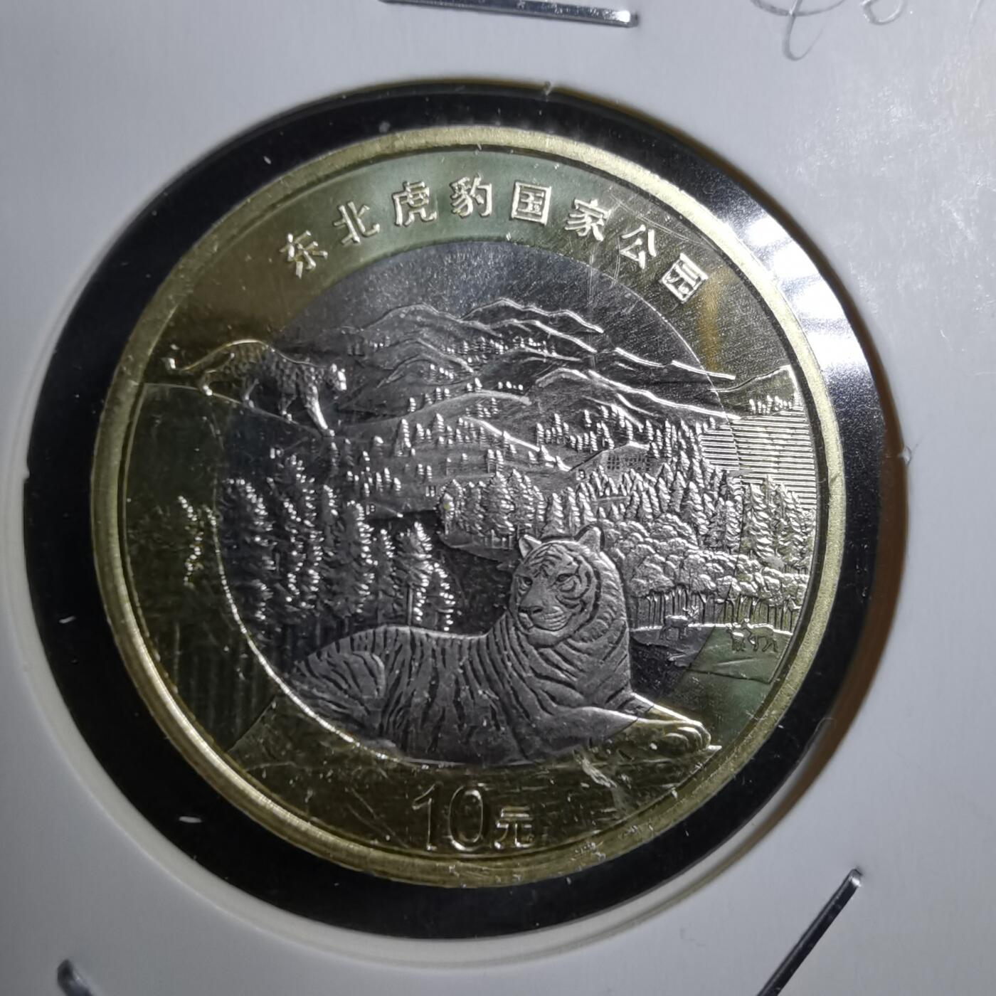 沼泽如烟--第746场