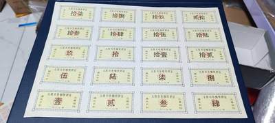 票证拍场，都是整版或者联票 - 太原市卷烟照顾证   整版20联