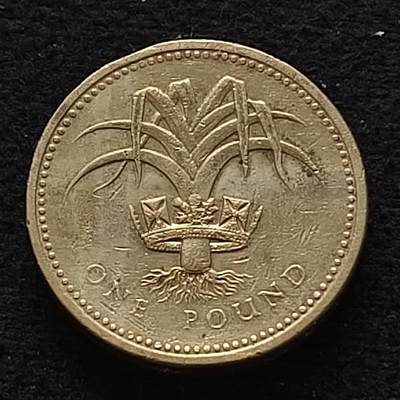 【全场包邮】纯粹捡漏拍435场-持续更新中 - 英国1985年1镑四邦国花系列威尔士葱韭纪念币