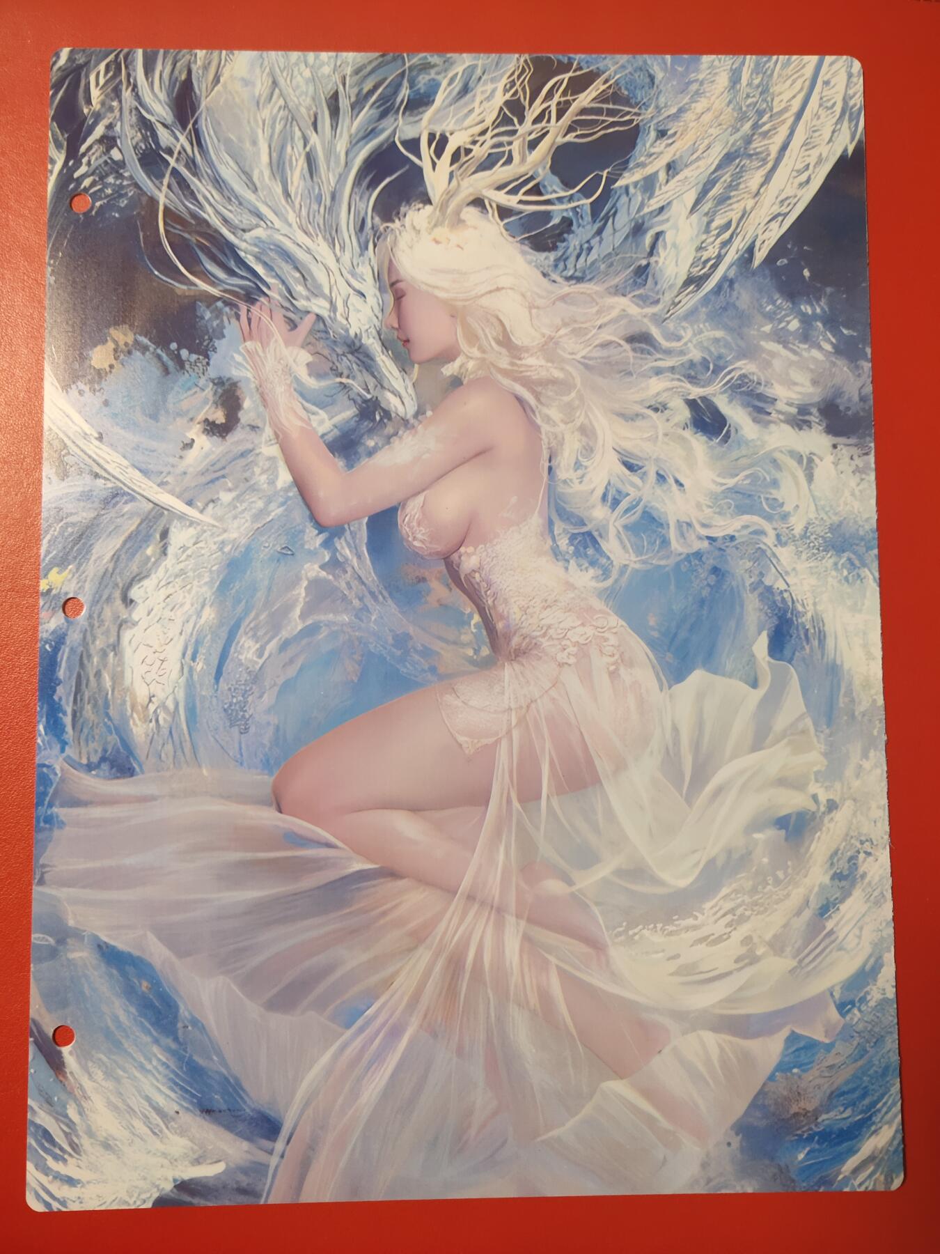 清风卡拍第七期(燎原卡牌为主) 妖姬传九宫卡册挡板一张(小白龙)